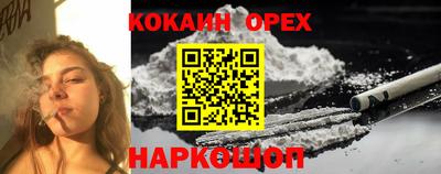 гидропоника Краснознаменск