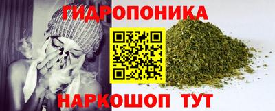 гидропоника Краснознаменск