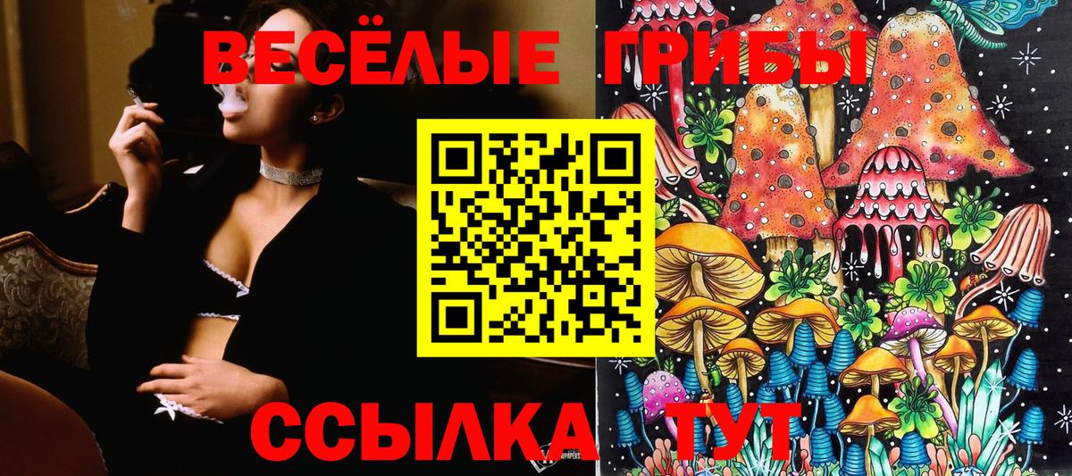 Галлюциногенные грибы мухоморы  Вход с VPN  что такое наркотик  Елизово 